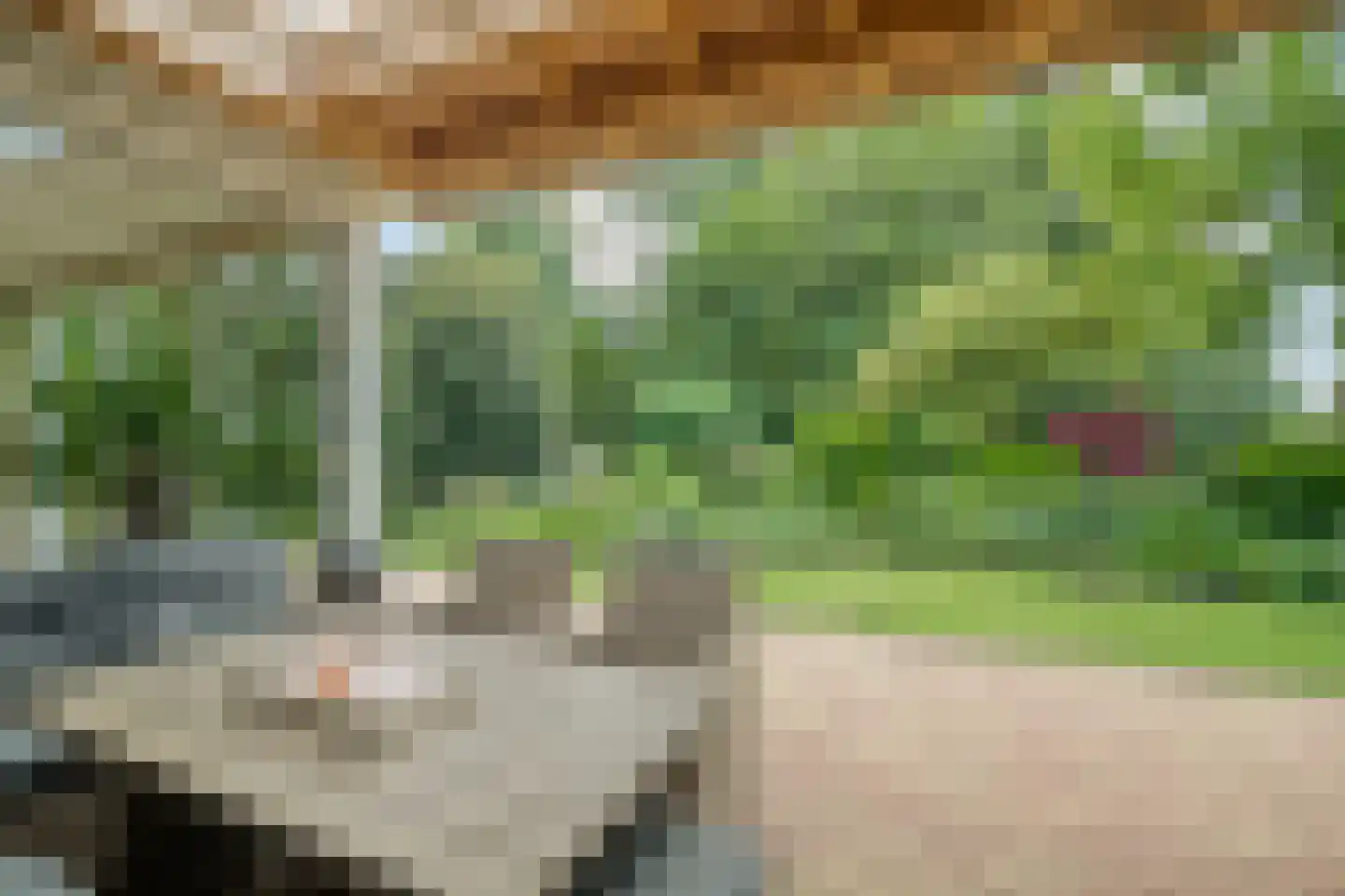Buitenkant 1 Biddinghuizen thumbnail 55