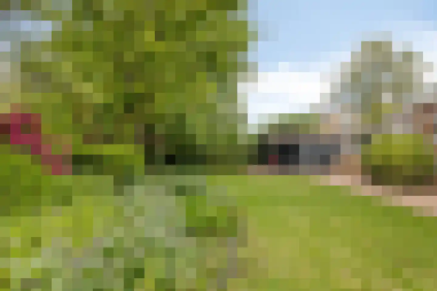 Buitenkant 1 Biddinghuizen thumbnail 57