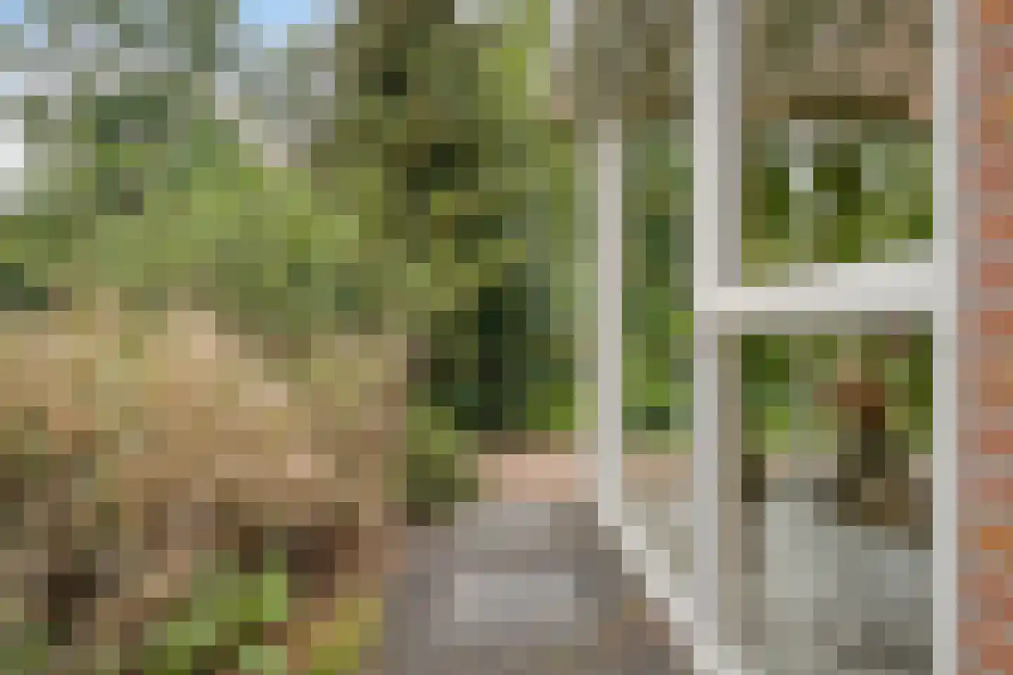 Buitenkant 1 Biddinghuizen thumbnail 58