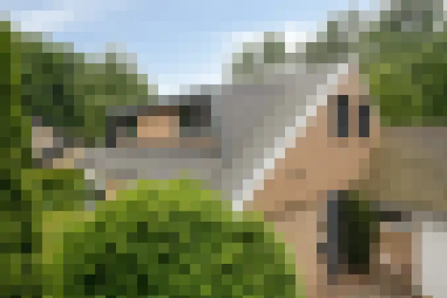 Buitenkant 1 Biddinghuizen thumbnail 60