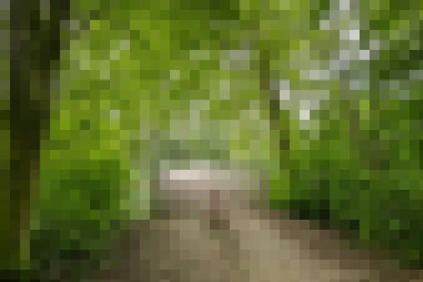 Buitenkant 1 Biddinghuizen thumbnail 65