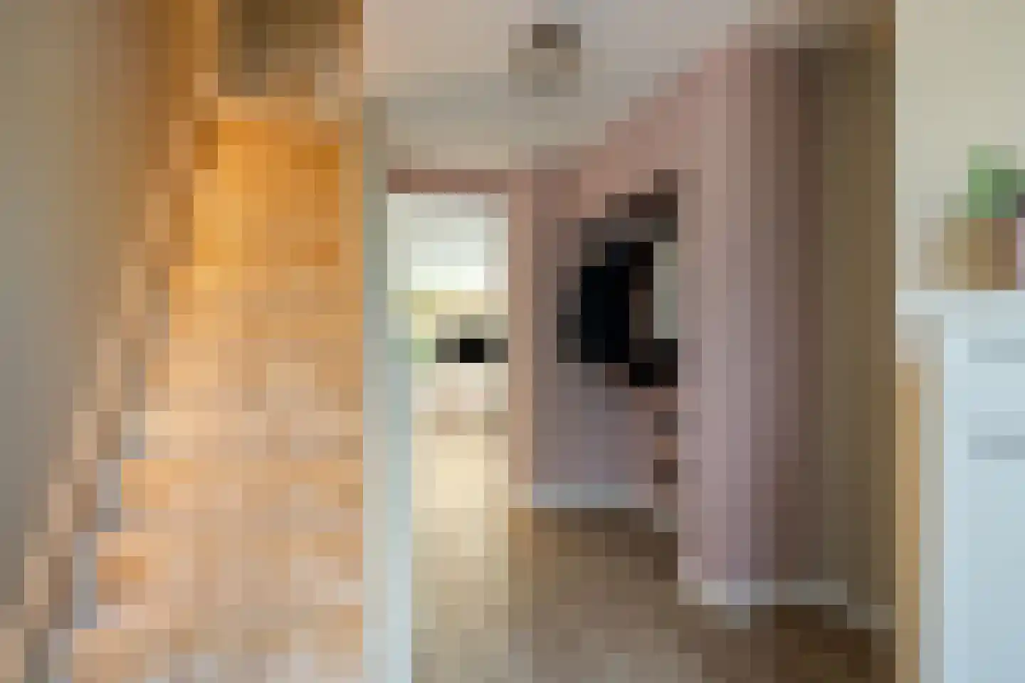 Buitenkant 1 Biddinghuizen thumbnail 8