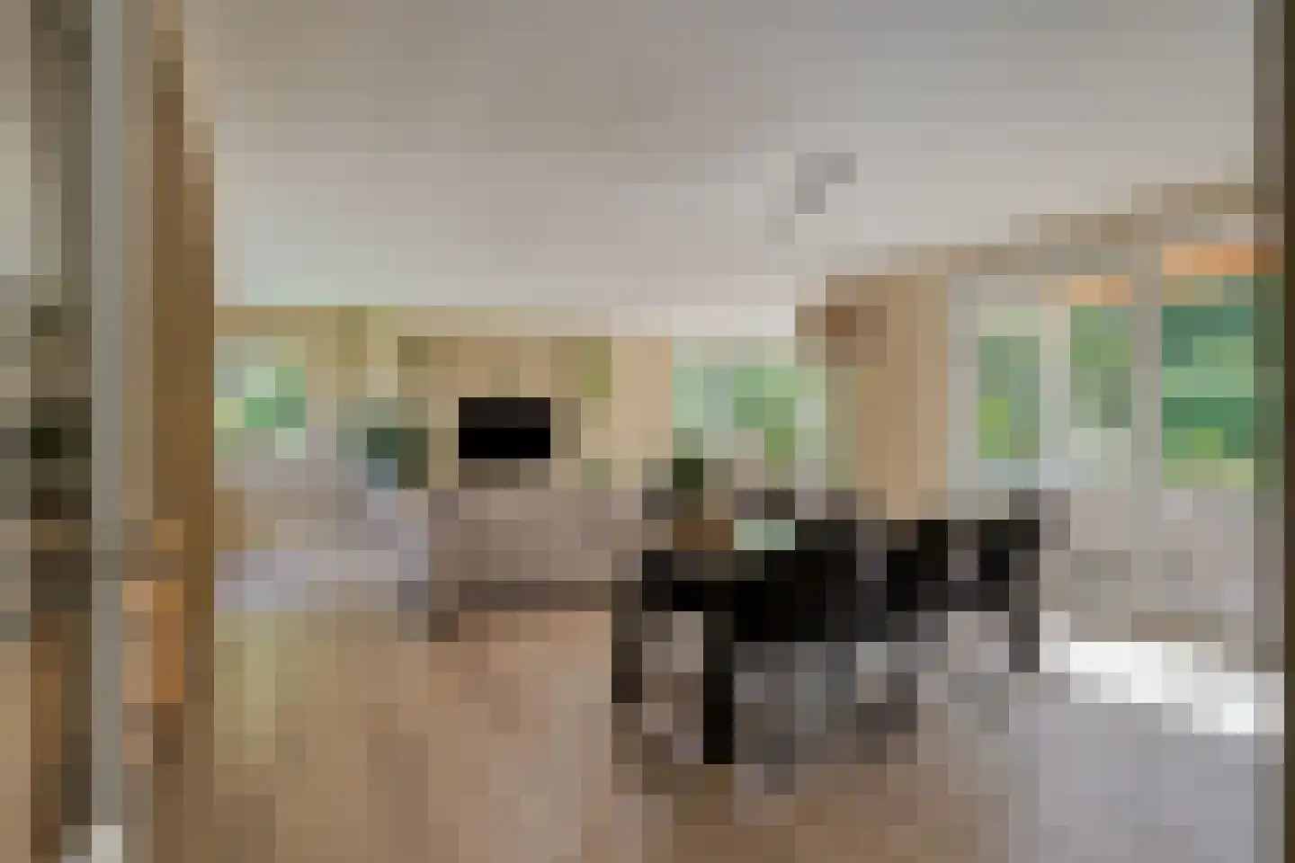 Buitenkant 1 Biddinghuizen thumbnail 9
