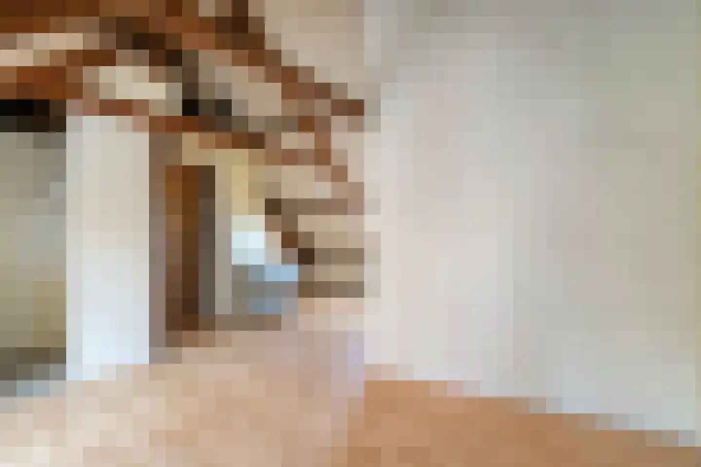 Buitenkant 25 Zwolle thumbnail 28