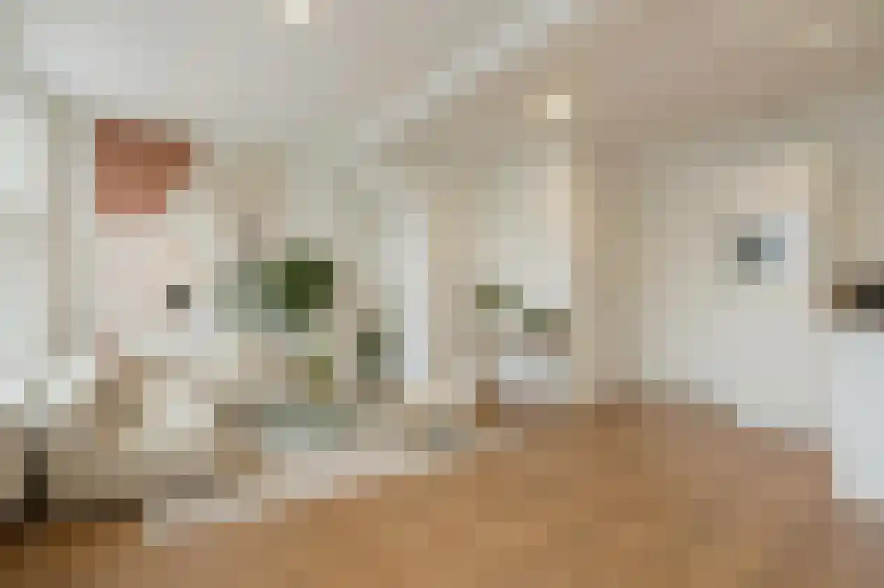 Buitenkant 3 A Zwolle thumbnail 11