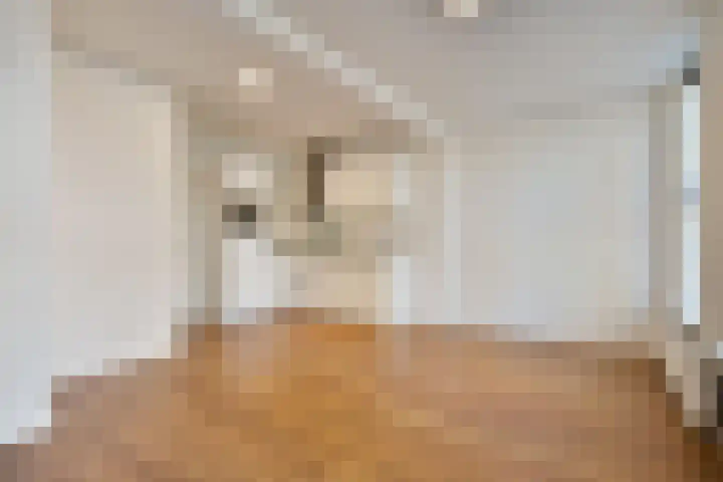 Buitenkant 3 A Zwolle thumbnail 12