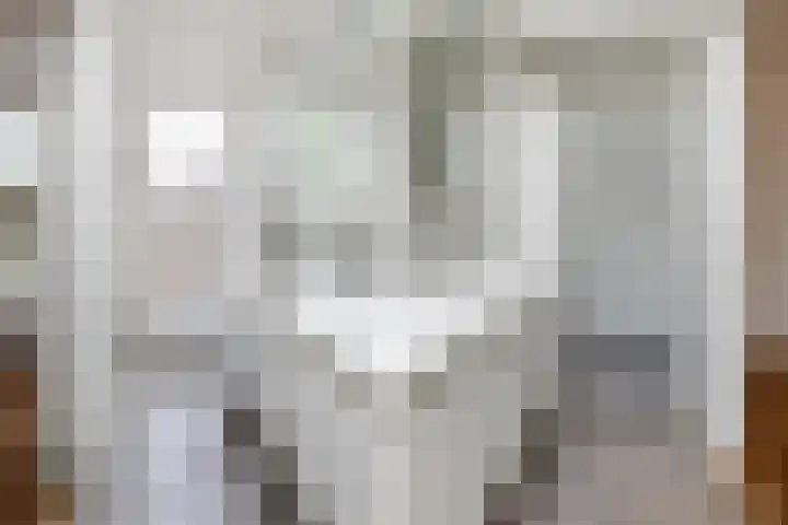 Buitenkant 3 Zwolle thumbnail 11