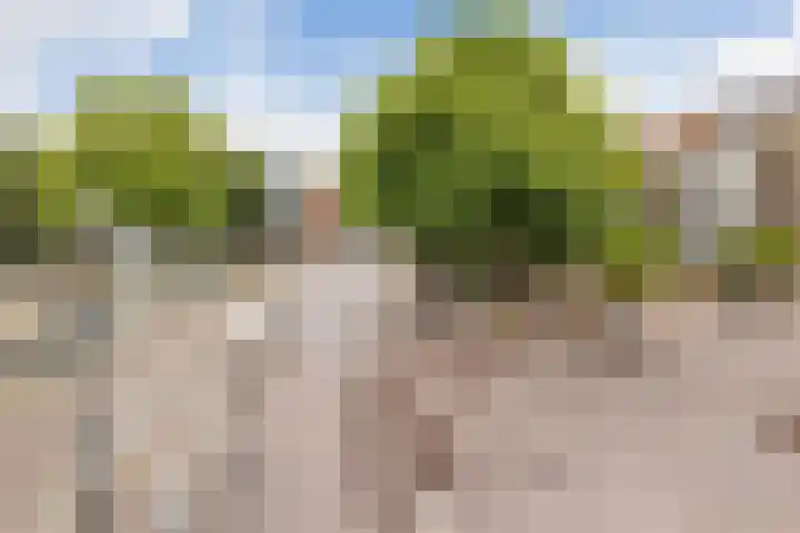 Buitenkant 3 Zwolle thumbnail 13