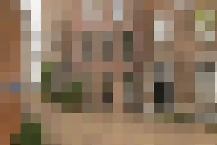 Buitenkant 3 Zwolle thumbnail 17