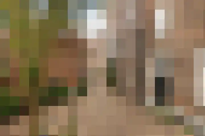 Buitenkant 3 Zwolle thumbnail 19