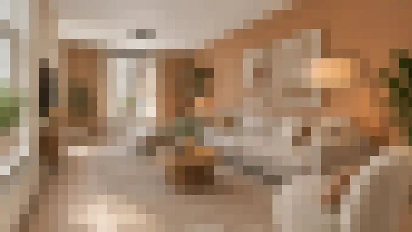 Buitenkant 31 Zwolle thumbnail 12