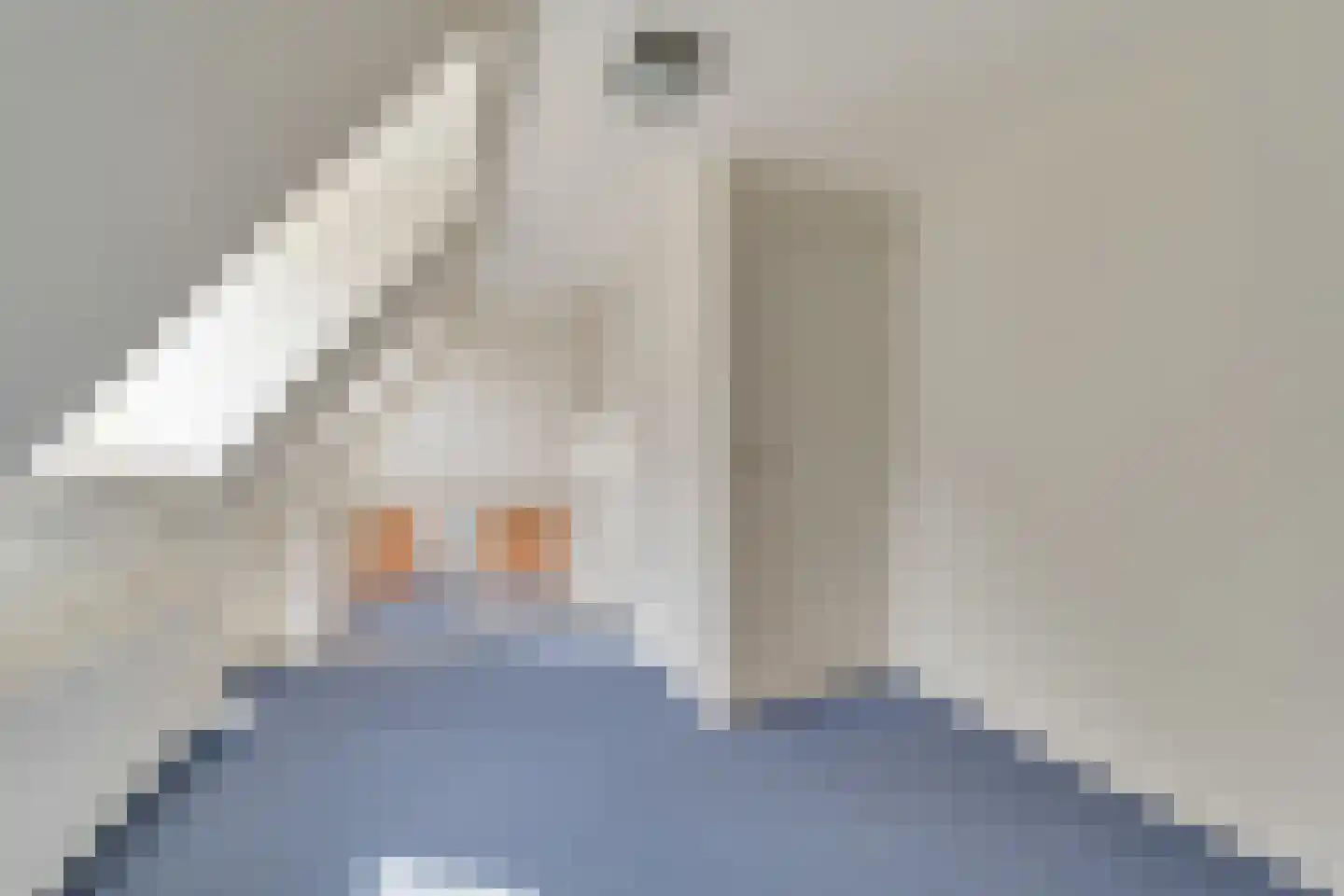 Buitenkant 31 Zwolle thumbnail 17
