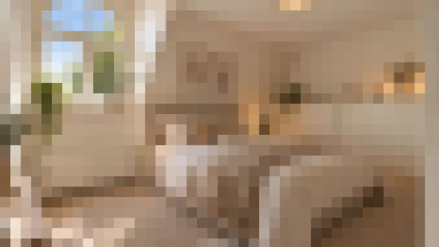 Buitenkant 31 Zwolle thumbnail 23