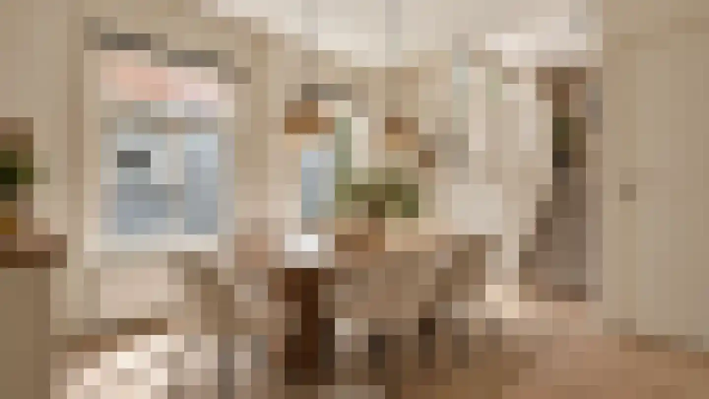 Buitenkant 31 Zwolle thumbnail 32