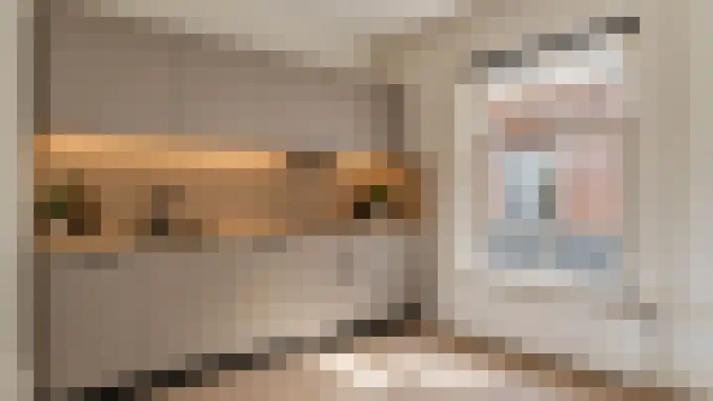 Buitenkant 31 Zwolle thumbnail 8