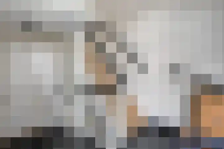 Buitenkant 33 Zwolle thumbnail 11