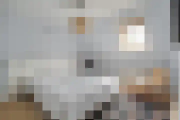 Buitenkant 33 Zwolle thumbnail 28