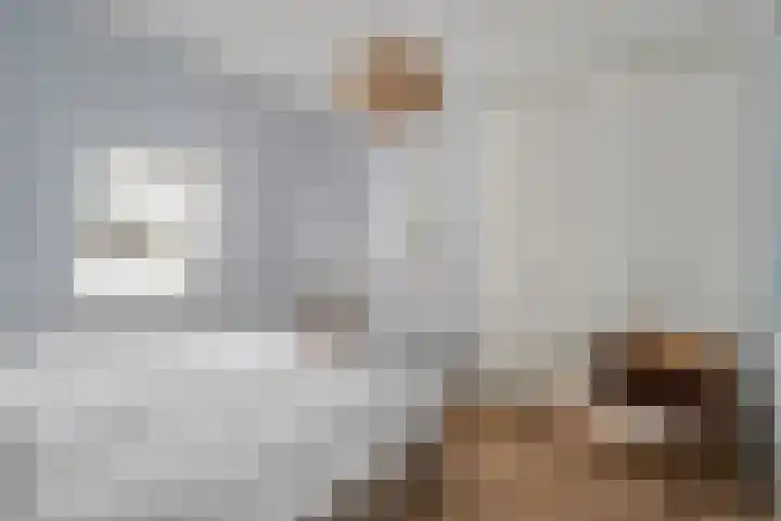 Buitenkant 33 Zwolle thumbnail 30