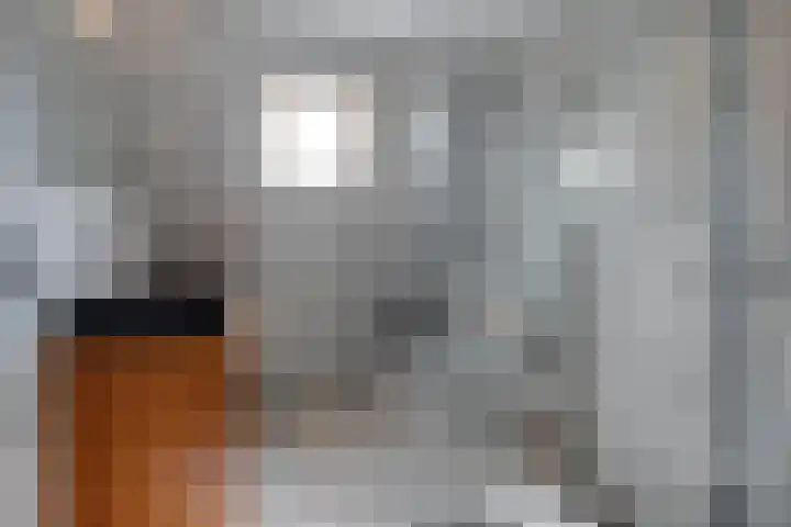 Buitenkant 33 Zwolle thumbnail 32