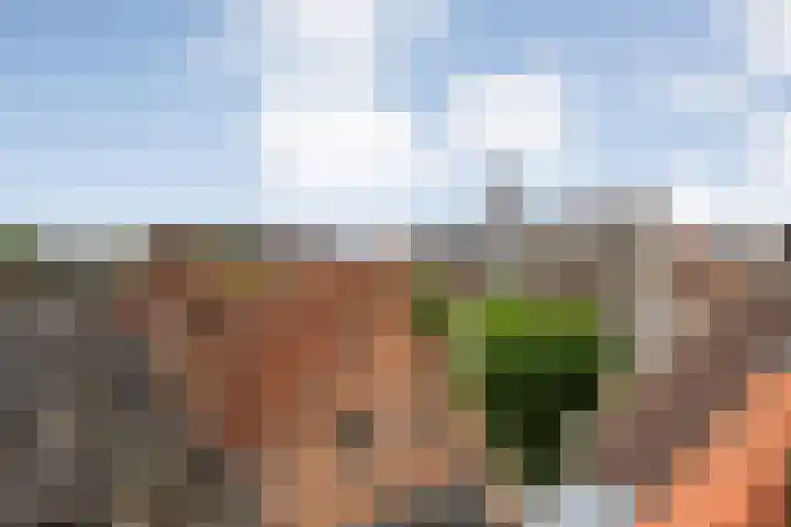 Buitenkant 33 Zwolle thumbnail 38