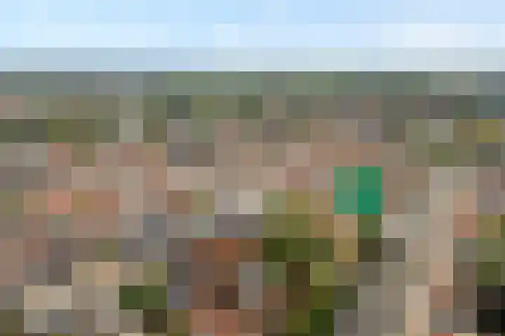 Buitenkant 33 Zwolle thumbnail 6