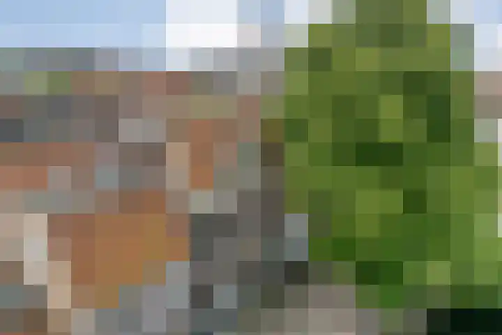 Buitenkant 33 Zwolle thumbnail 7