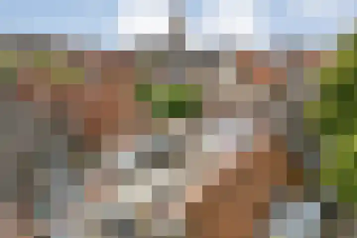 Buitenkant 33 Zwolle thumbnail 8