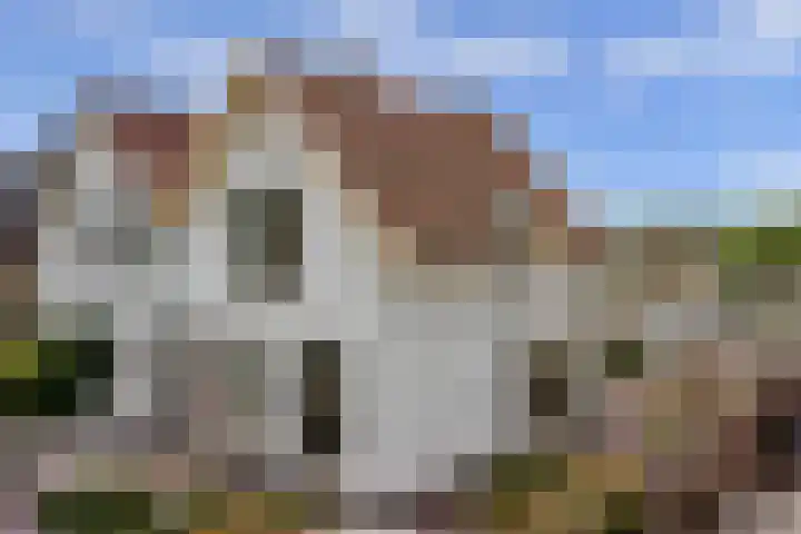 Buitenkerk 27 Bodegraven