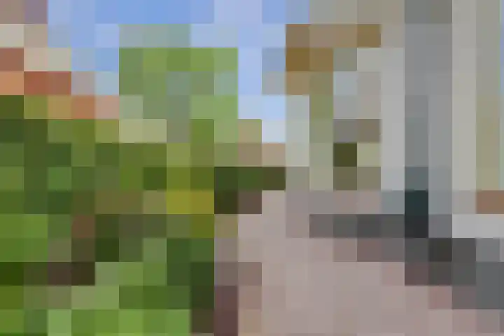Buitenkerk 27 Bodegraven thumbnail 33