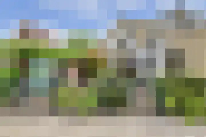 Buitenkerk 27 Bodegraven thumbnail 36
