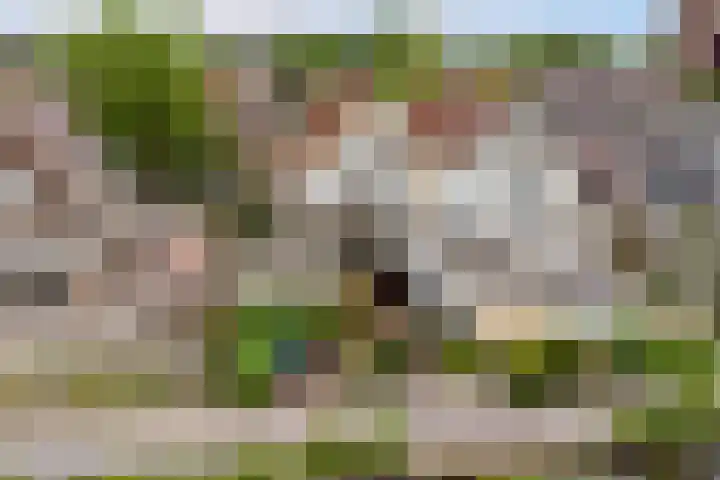 Buitenkerk 27 Bodegraven thumbnail 39