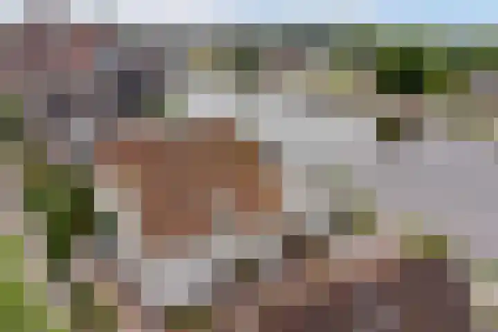 Buitenkerk 27 Bodegraven thumbnail 41