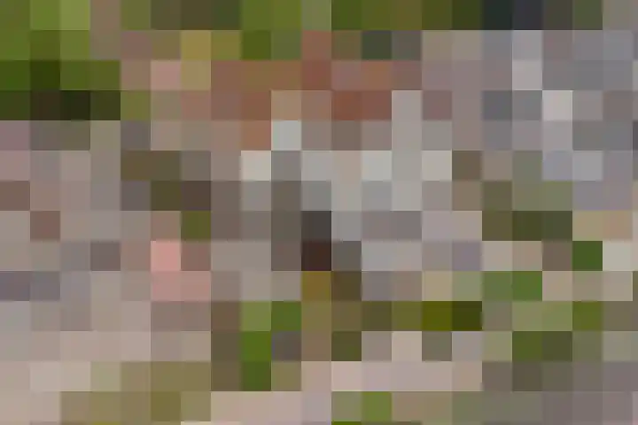 Buitenkerk 27 Bodegraven thumbnail 42