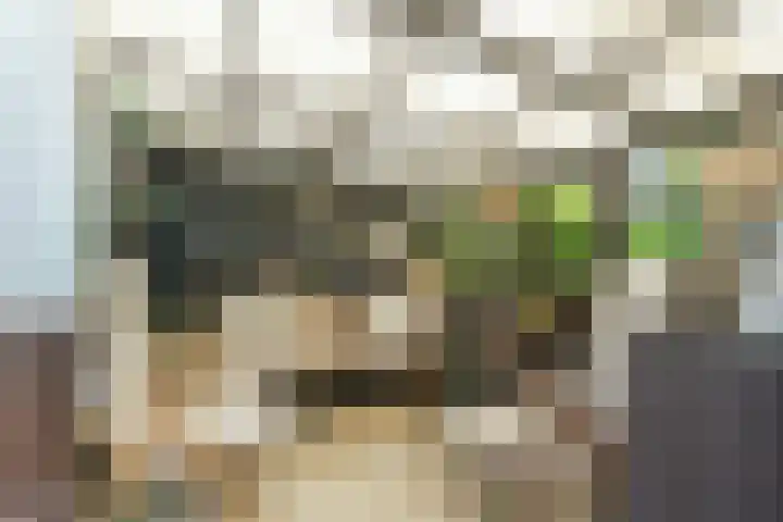 Buitenkerk 65 Bodegraven thumbnail 32