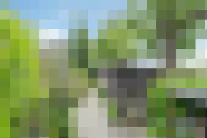 Buitenkerk 65 Bodegraven thumbnail 34