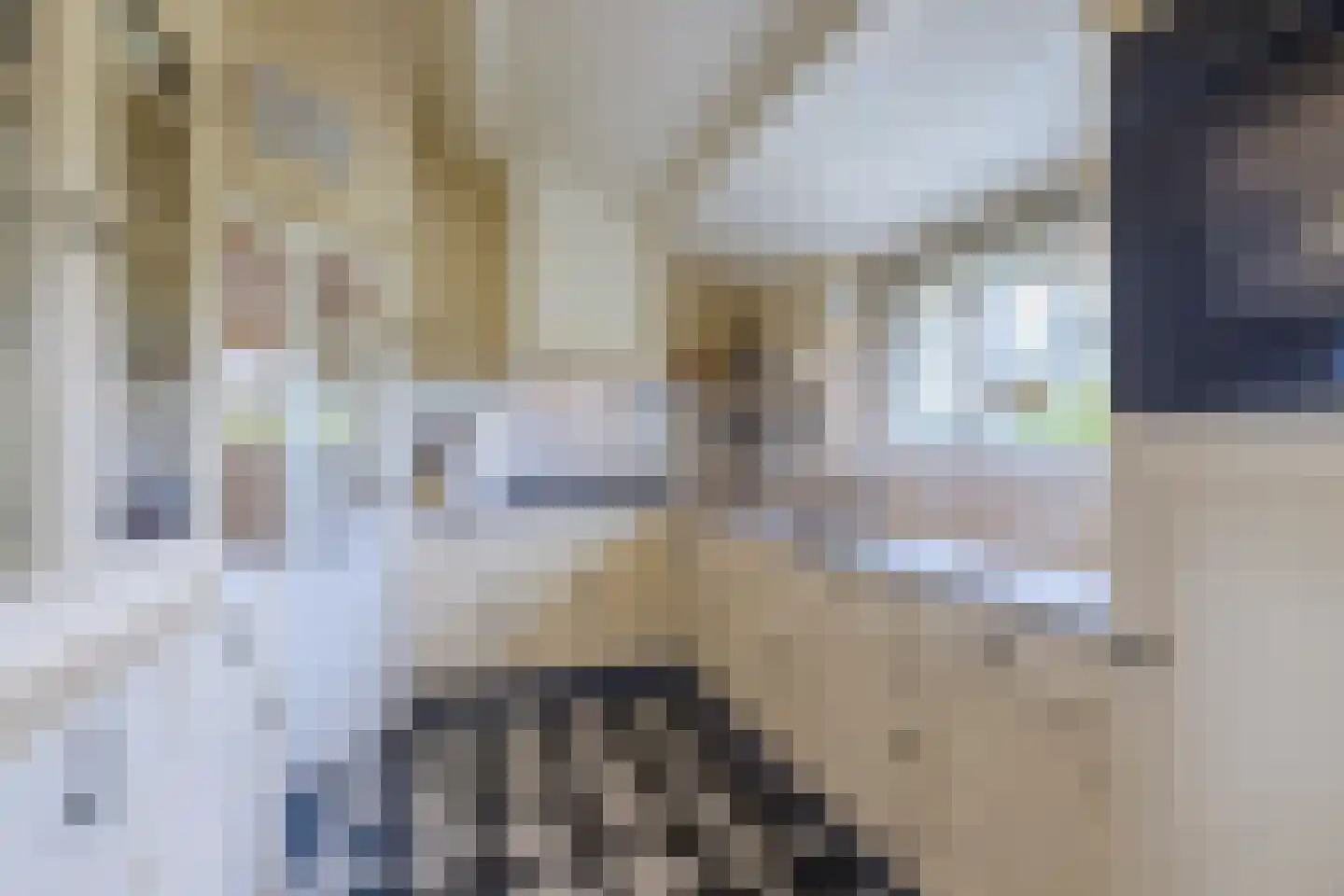 Buitenkerk 66 Bodegraven thumbnail 22