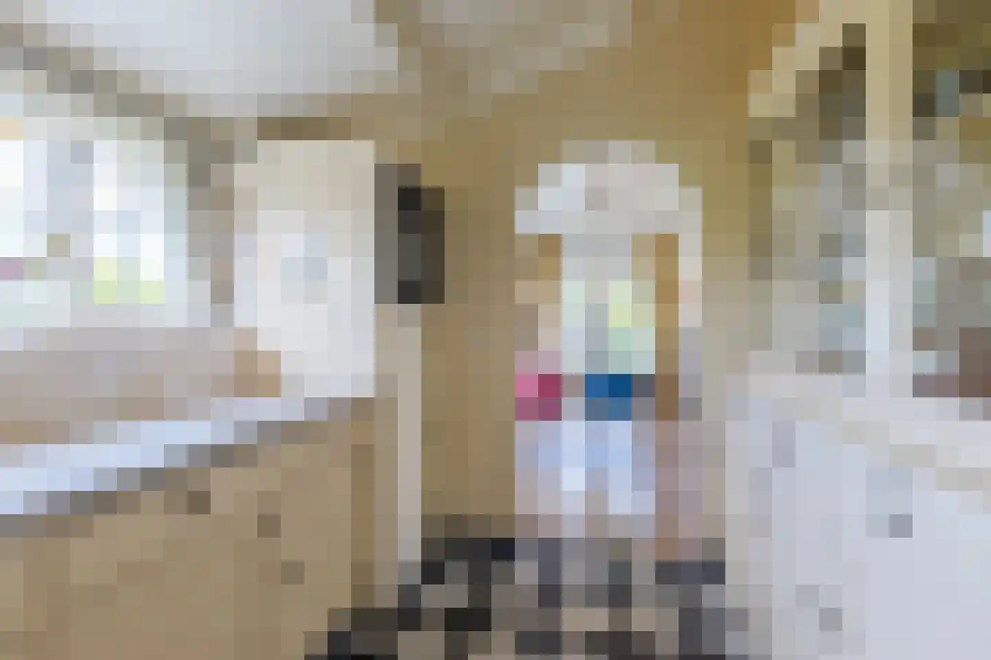 Buitenkerk 66 Bodegraven thumbnail 24