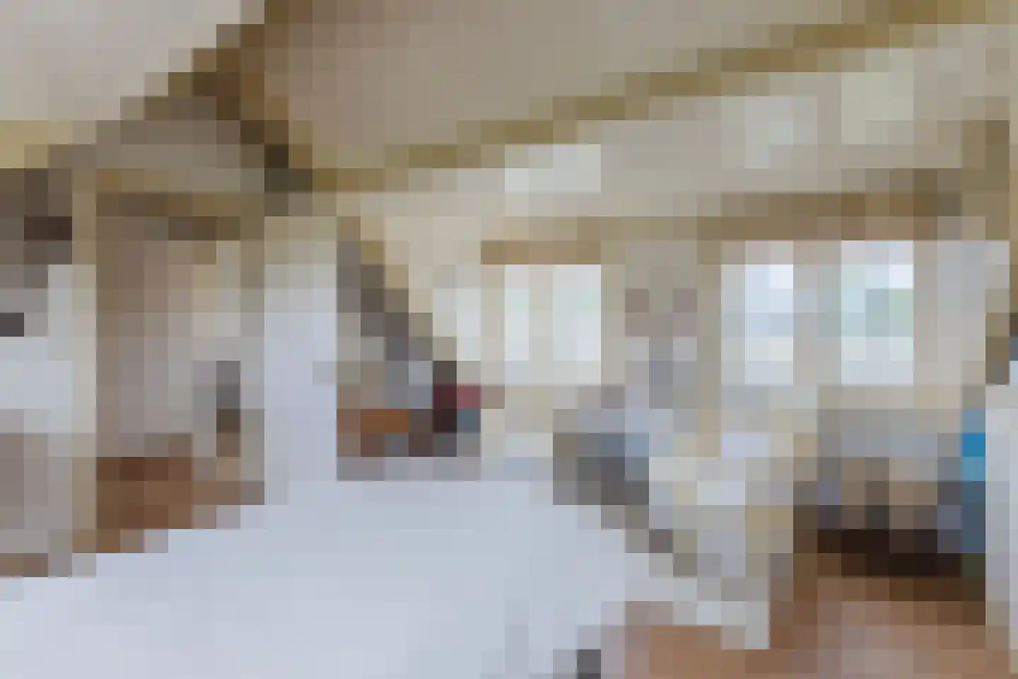 Buitenkerk 66 Bodegraven thumbnail 33
