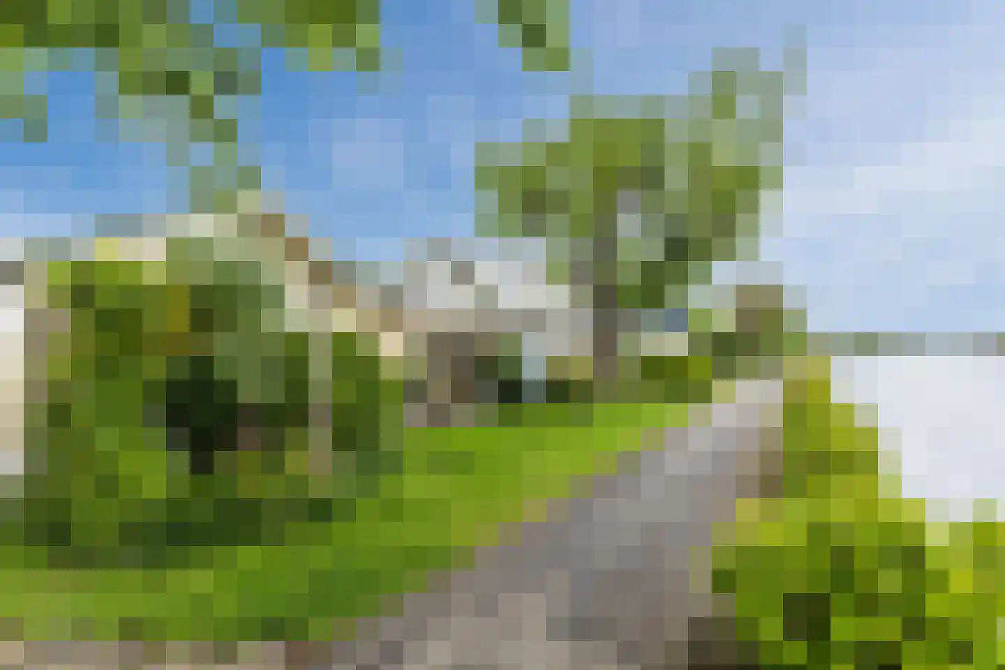 Buitenkerk 66 Bodegraven thumbnail 45