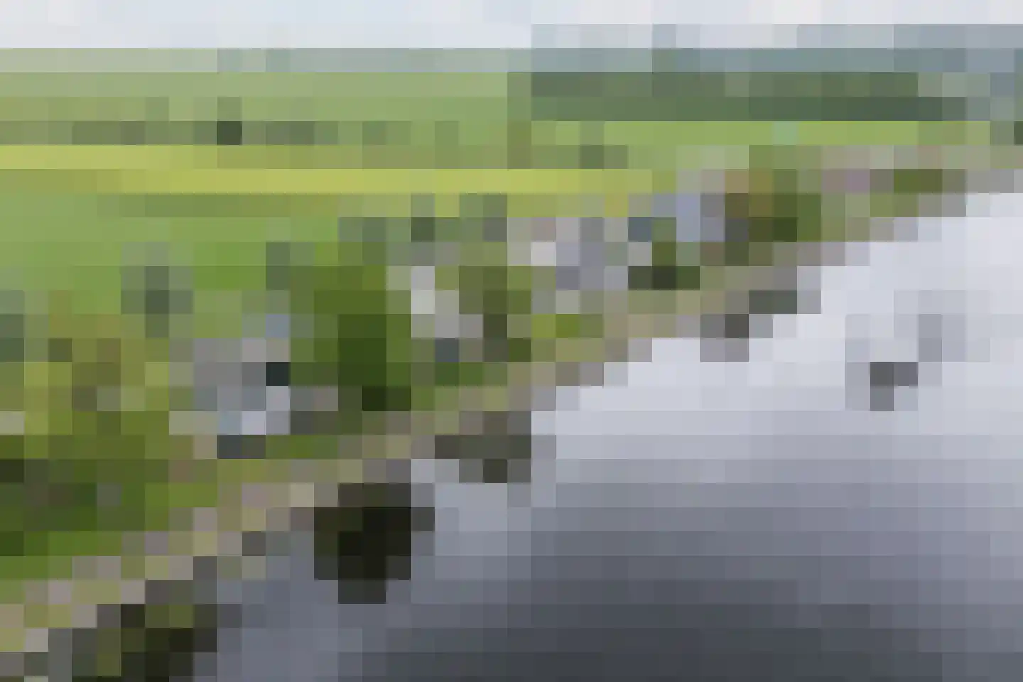 Buitenkerk 66 Bodegraven thumbnail 47