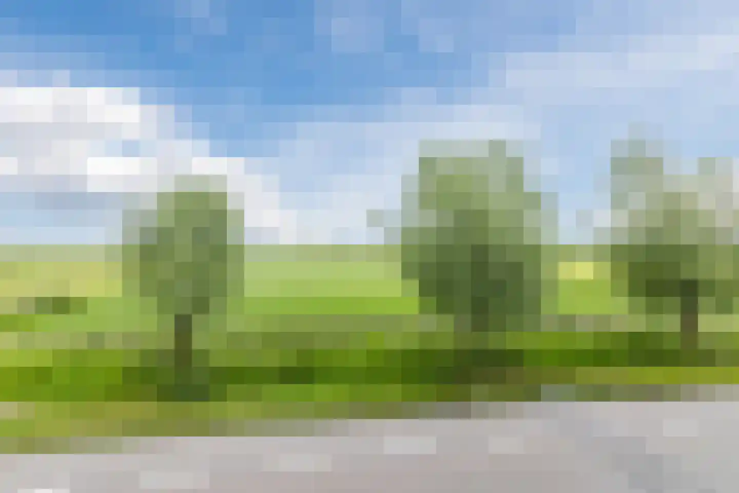 Buitenkerk 66 Bodegraven thumbnail 53
