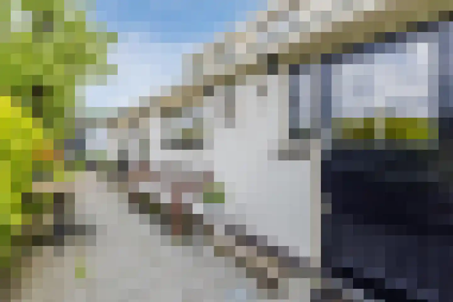 Buitenkerk 66 Bodegraven thumbnail 9