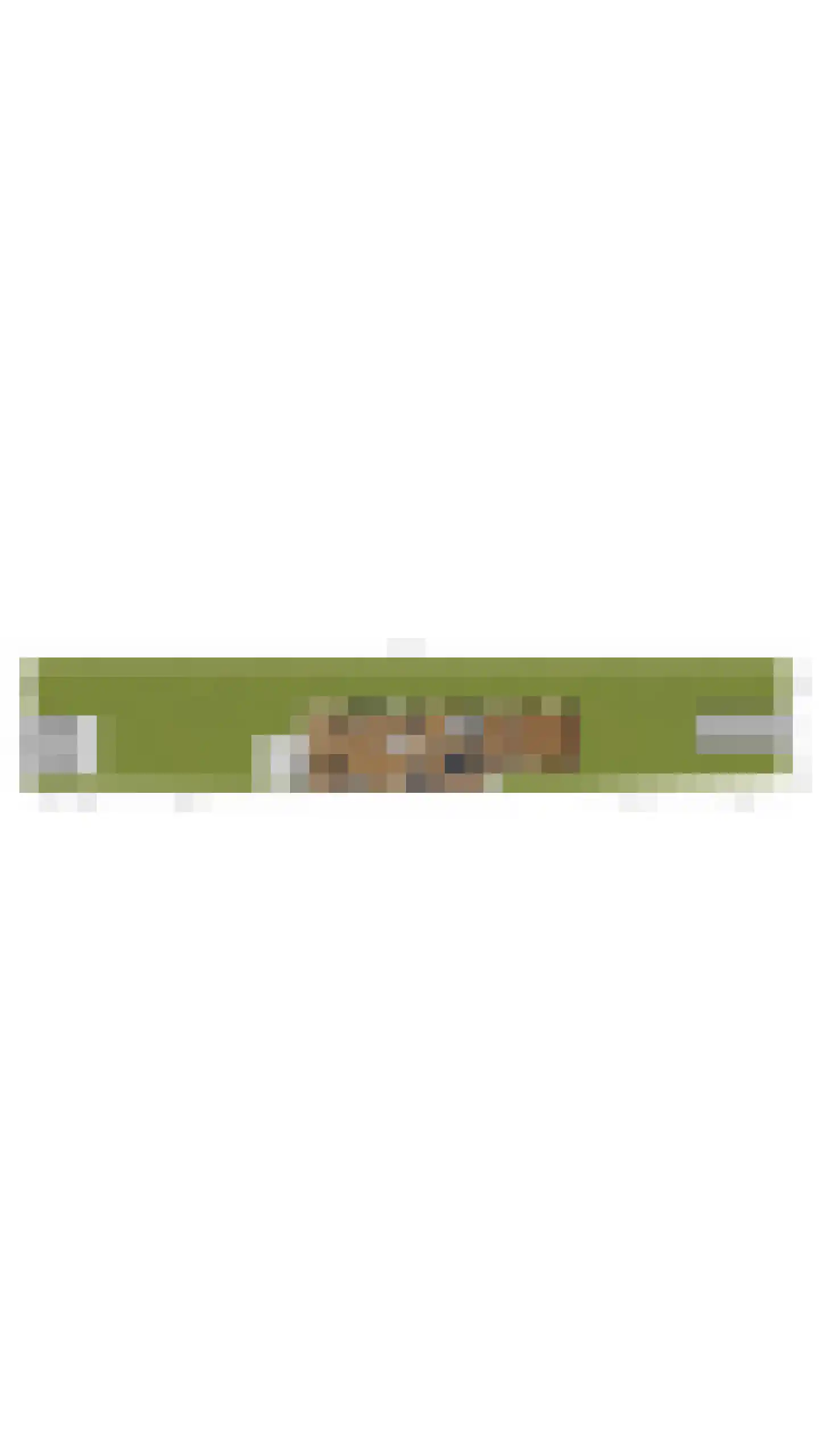 Buitenkerk 74 Zwammerdam thumbnail 103