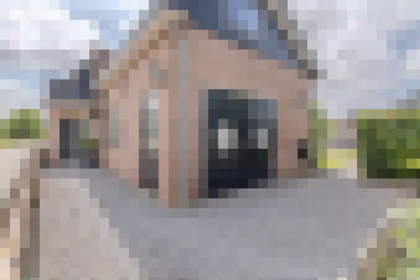 Buitenkerk 74 Zwammerdam thumbnail 11