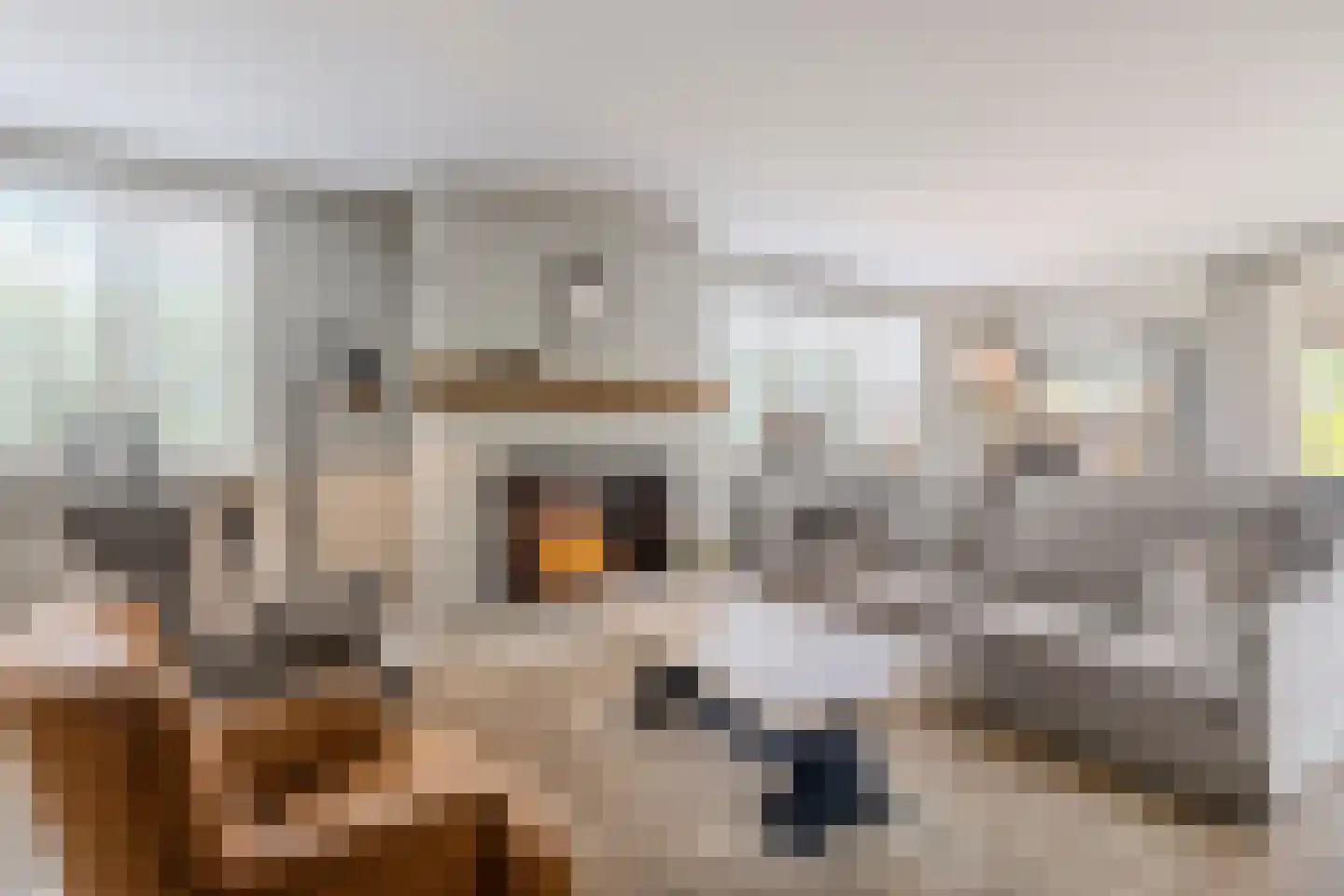 Buitenkerk 74 Zwammerdam thumbnail 31