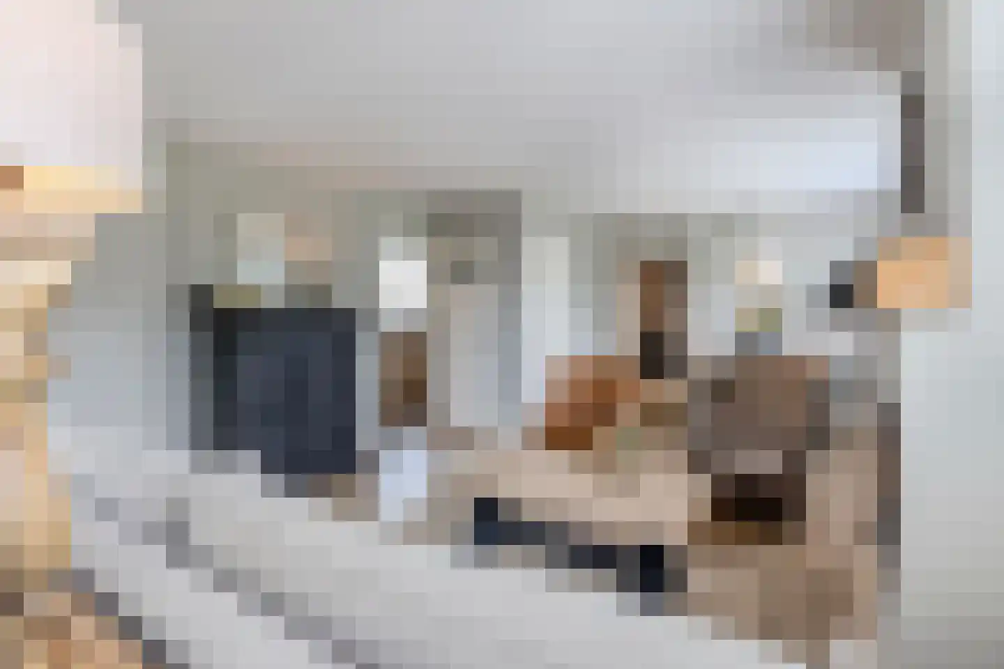 Buitenkerk 74 Zwammerdam thumbnail 36