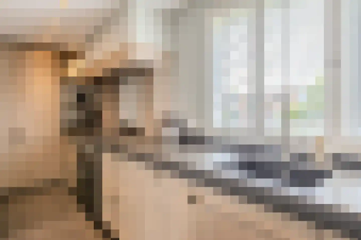Buitenkerk 74 Zwammerdam thumbnail 40