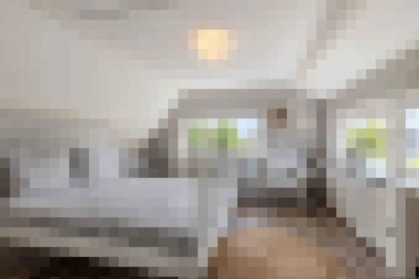 Buitenkerk 74 Zwammerdam thumbnail 70