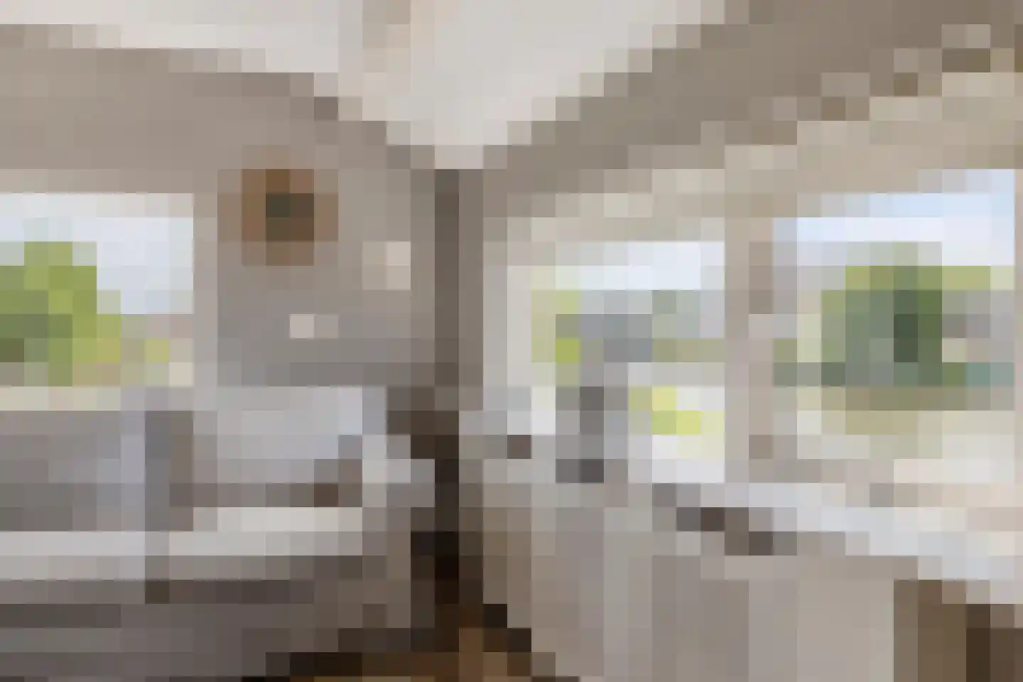 Buitenkerk 74 Zwammerdam thumbnail 72