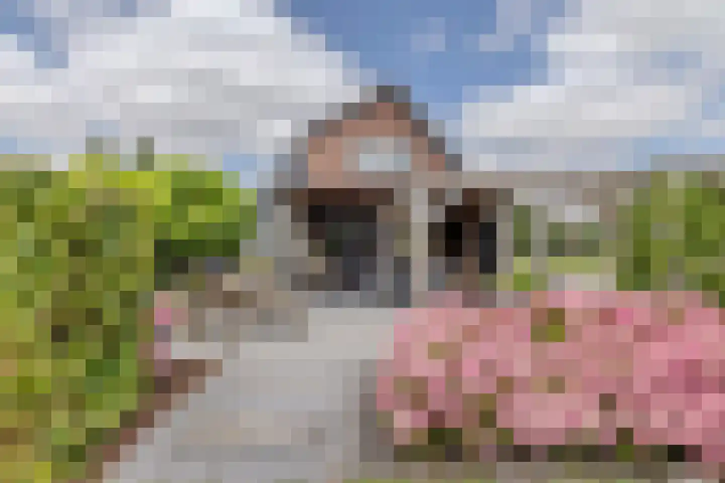 Buitenkerk 74 Zwammerdam thumbnail 73